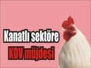 Devlet, tavuk�uya bor�lu