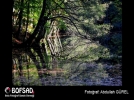 BOFSAD'da g�n�n foto�raf�