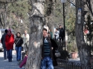 Plakal� a�aca kimse ald�r�� etmedi