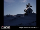 BOFSAD'da g�n�n foto�raf�