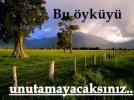 Bolu'da bir �iftlik �yk�s�  