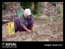 BOFSAD'da g�n�n foto�raf� 