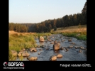 BOFSAD'da g�n�n foto�raf�
