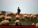 S�r�s�n� otlat�rken beyin kanamas� ge�irdi