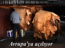 Tabakhane Avrupa�ya a��l�yor