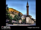 BOFSA'Dda 13 Mart 2013 g�n�n foto�raf�
