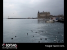 BOFSAD'da  14 Mart 2013 g�n�n foto�raf�