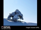 BOFSAD'da 17 Mart 2013 g�n�n foto�raf�