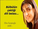 B�lb�l�n �ekti�i dili belas��