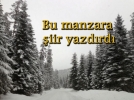 Bakan Bolu'da �air oldu