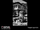 BOFSAD'da g�n�n foto�raf�