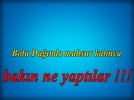 Say�n Valim mahsur kald�k !!!