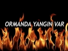 ORMAN YANIYOR
