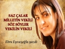 Saz �alar milletin vekili, s�z s�yler vekilin vekili