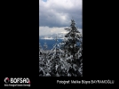 BOFSAD'da 25 Mart 2013 g�n�n foto�raf�