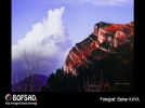 BOFSAD'da  g�n�n foto�raf�