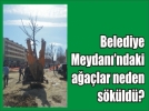 Belediye Meydan��ndaki a�a�lara ne oldu?