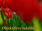Objektiflere tak�ld�lar