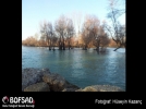 BOFSAD'da  g�n�n foto�raf�