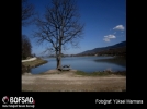 BOFSAD'da  g�n�n foto�raf�