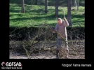 BOFSAD'da 13 Nisan 2013 g�n�n foto�raf�