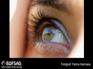 BOFSAD'da  g�n�n foto�raf�
