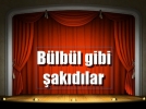 ONLAR KEND� STARINI SE�T�LER