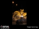 BOFSAD'da 20 Nisan 2013  g�n�n foto�raf�
