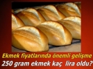 Ekmek zamm�nda �nemli geli�me