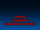 �amurla stres atmaya ne dersiniz?