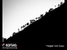 BOFSAD'da  g�n�n foto�raf�