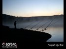 BOFSAD'da 3 May�s 2013  g�n�n foto�raf�
