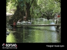BOFSAD'da  g�n�n foto�raf�