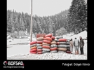 BOFSAD'da  g�n�n foto�raf�