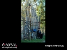BOFSAD'da 17 May�s 2013 g�n�n foto�raf�