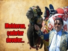 BOLU OVASI�NI KU�ATTILAR