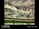 BOFSAD'da  g�n�n foto�raf�