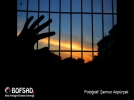 BOFSAD'da  g�n�n foto�raf�