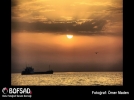 BOFSAD'da 3 Haziran  g�n�n foto�raf�