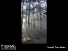 BOFSAD'da  g�n�n foto�raf�