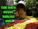 KARABERK MEYVE BAH�ES� OLDU