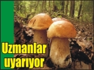 Mantar zehirlenmelerine dikkat