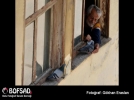 BOFSAD'da g�n�n foto�raf�