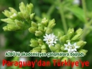 A�B�'l� akademisyenden m�jde 