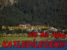 �Bolu�da 100 bin a�a� kesilecek�