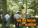 ​500 hektarda b�cek taramas�