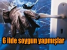 H�rs�zlar Kocaeli�nde yakaland�