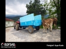 BOFSAD'da  g�n�n foto�raf�