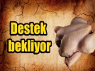 Beyaz Et �reticileri Destek Bekliyor