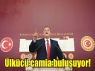 MHP�li Vural, Bolu�ya geliyor!